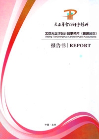 顶新公益基金会2015年审计报告