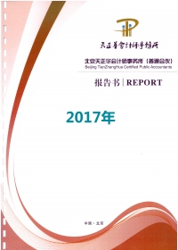 顶新公益基金会2017年审计报告