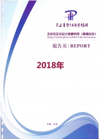顶新公益基金会2018年审计报告